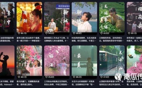 视频号起号、运营、变现全流程