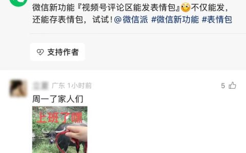 微信新功能上线，视频号评论区可发表情包