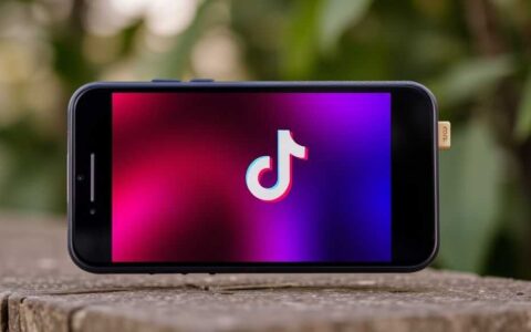 TikTok手机壳3月狂赚120万！这“防偷拍”设计绝了！