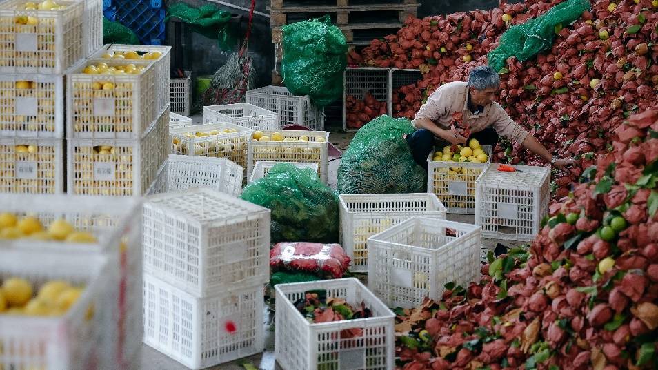 拼多多发布Q3财报,新电商迎创业十周年,加大投入反哺生态回馈社会