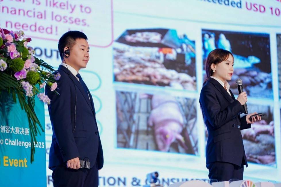 拼多多发布Q3财报,新电商迎创业十周年,加大投入反哺生态回馈社会