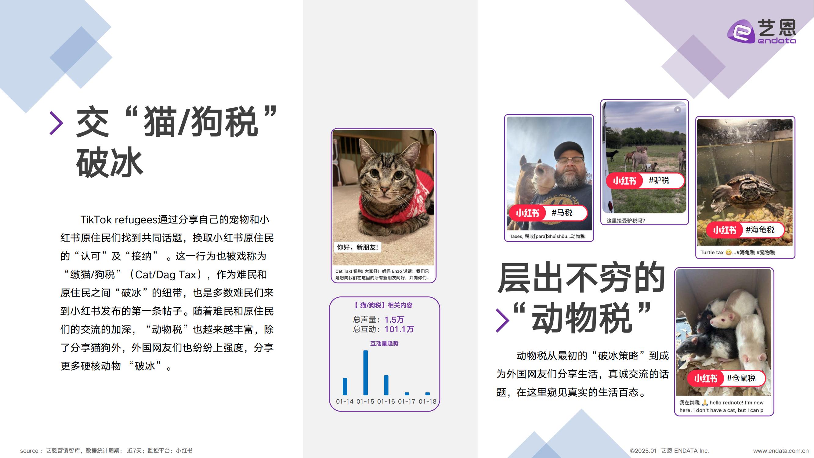 TikTok用户转战小红书：跨越语言与文化的社交迁徙