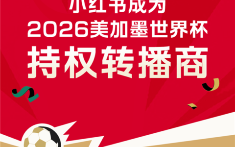 小红书公布世界杯开赛数据：在线观看人数上涨55倍 近亿次球迷互动