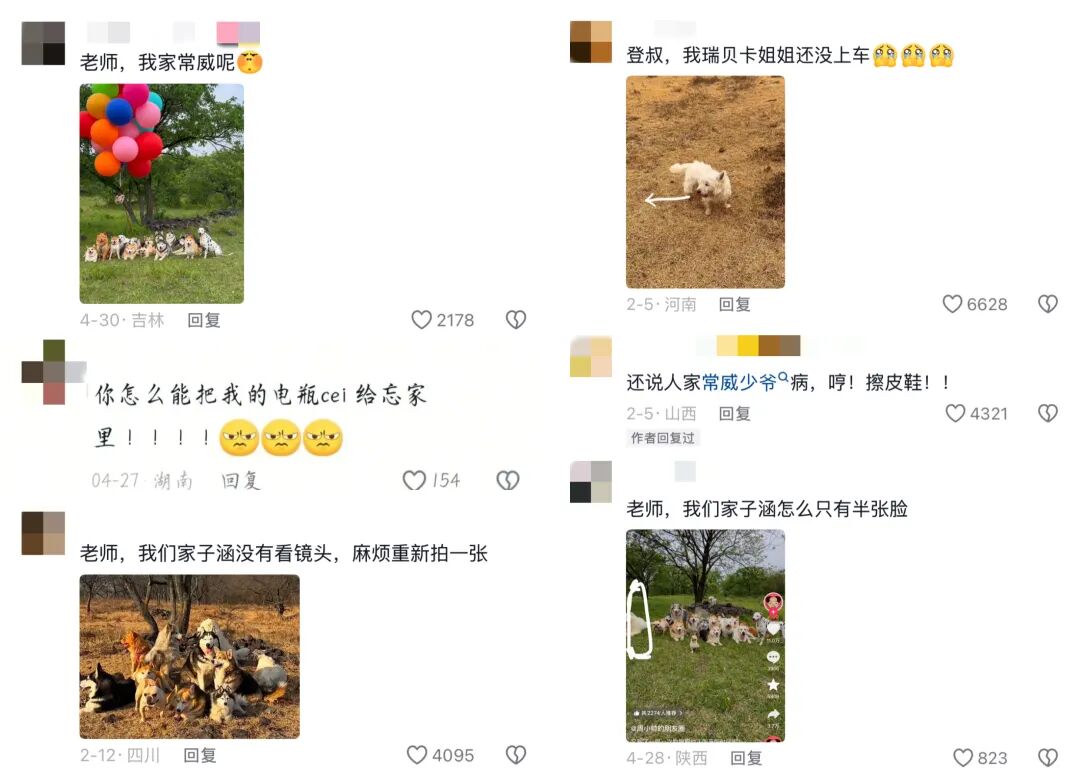 开狗狗幼儿园火出圈,周小帅靠什么狂揽流量?